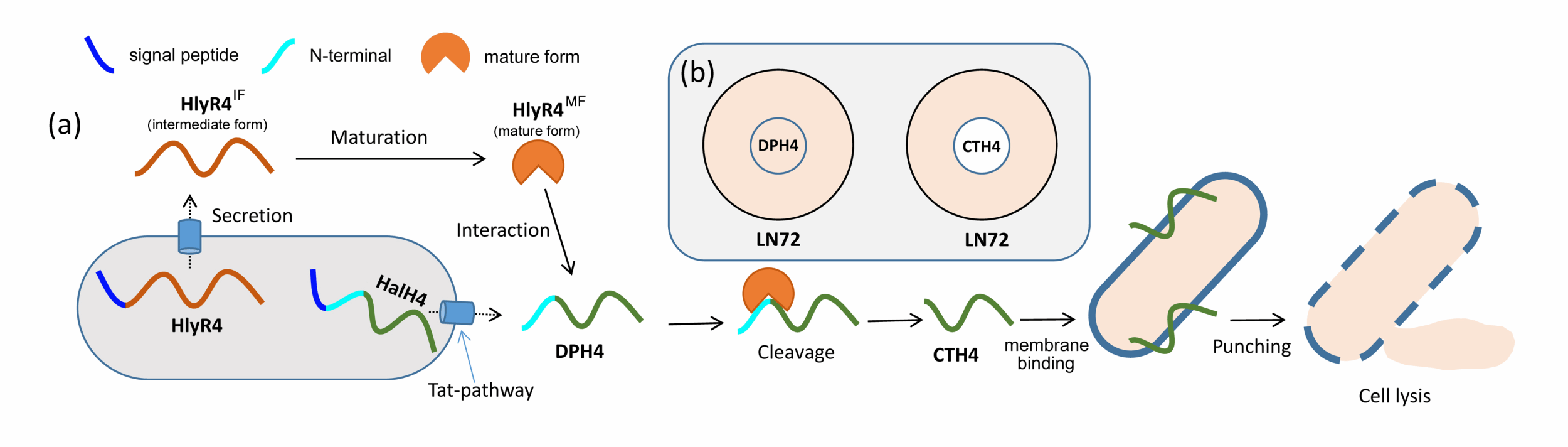 17D2F